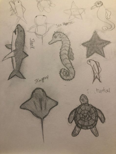 Sea Creatures Drawing Cute, Things To Draw Sea Animals, Under The Sea Animals Drawings, Drawing Ideas Easy Sea Animals, Ocean Animal Drawings Easy, Underwater Sea Life Drawing, Drawing Ideas Ocean Animals, Ocean Animals Sketch, Simple Sea Creature Drawings