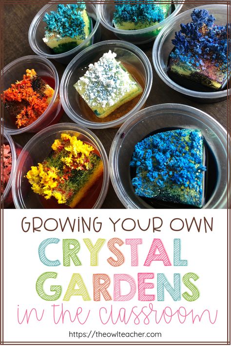 During your rocks and minerals unit, have you ever want to create your own crystal garden or grow your own minerals? This post teaches you exactly what you need to do during your science lesson to make it happen. Minerals Activities, Geology Activities, Garden Activity, Grow Your Own Crystals, Owl Teacher, Rock Science, Minerals Art, Earth Layers, Growing Crystals