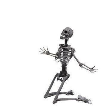 Skeleton Reaction Pics, Posing Skeletons, Reaction Images, Staring At You, Silly Images, Reaction Pics, Reaction Pictures, Skeleton, Avocado