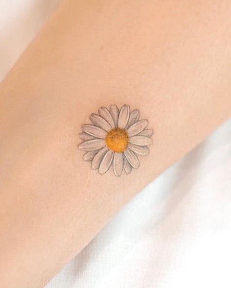 Daises Flowers Tattoo, Tattoo Daisy Flower, Watercolor Daisy Tattoo, White Daisy Tattoo, Tattoo Daisy, Small Daisy Tattoo, Margarita Flower, Daisy Tattoos, Sunflower Tattoo Ideas