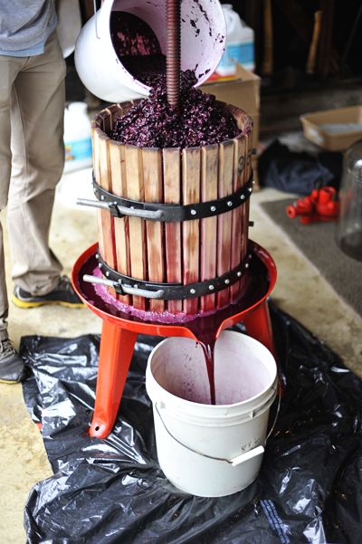 Wine Making Recipes, Homemade Wine Recipes, Wine Press, Make Your Own Wine, Wine Vineyards, Homemade Wine, Wine Cheese, Diy Wine, Wine And Liquor