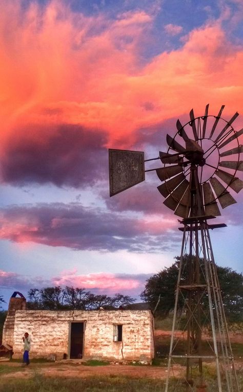 Australian Painting, Western Cape South Africa, Wood Art Projects, Farm Art, Road Trippin, Western Cape, Pictures To Paint, Farm Life, African Art