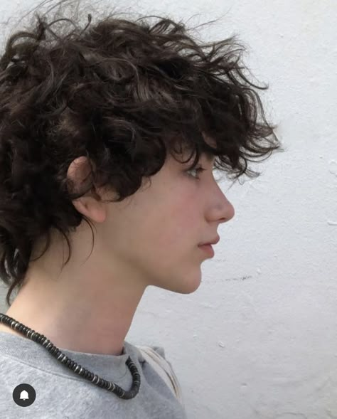 Brown Hair Male, Ftm Haircuts, Messy Hair Boy, Fluffy Curly Hair, Brown Hair Boy, Hair Inspiration Short, Boys With Curly Hair, Fluffy Hair, Curly Hair Men