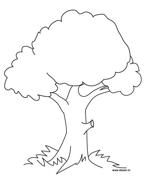 Coloring Pages Trees Tree Coloring, Leaf Coloring Page, Space Coloring Pages, Christmas Tree Coloring Page, Cartoon Trees, Family Tree Template, Book Tree, Simple Tree, Tree Coloring Page