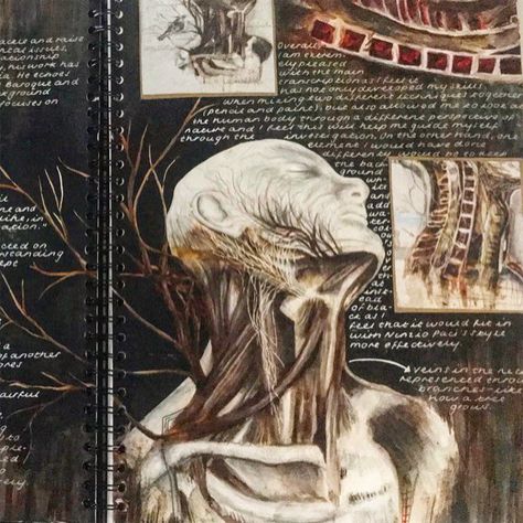 Art Sketchbook Anatomy, Nunzio Paci Art, Gcse Art Anatomy, Anatomy Artists Gcse, Anatomy Gcse Art Page, Gcse Art Sketchbook Human Form, Human Form Art Gcse Title Page, Human Form Art A Level, Gcse Art Sketchbook Artist Research