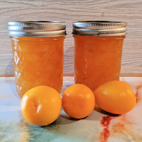 When you crave a bright, citrusy spread without the fuss, this kumquat jam recipe delivers! Tart and tangy kumquats transform into a vibrant jam in just 30 about minutes! Kumquat Jam Recipe, Kumquat Recipes Easy, Kumquat Marmalade Recipes, Kumquat Jam, Kumquat Recipes, Kumquat Tree, Recipes Fruit, Marmalade Recipe, Canning Jam