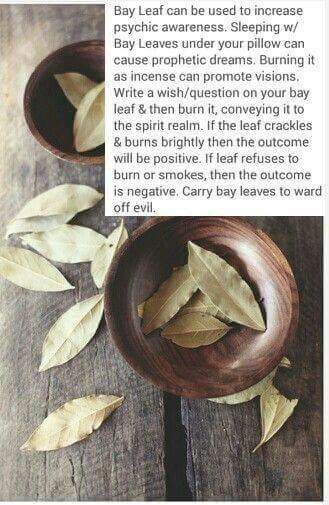 well this is cool as hell Magick Spells, Magical Herbs, Witch Spell, Herbal Magic, Bay Leaf, Wiccan Spells, Bay Leaves, Spells Witchcraft, Healing Herbs