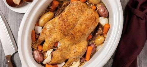 Crock Pot Duck | Maple Leaf Farms Duck Recipes Crockpot, Easy Dinner Prep, Slow Cooker Duck, Whole Duck Recipes, Cooked Duck, Duck Recipe, Carrots Potatoes, Duck Breast, Alfredo Sauce Recipe