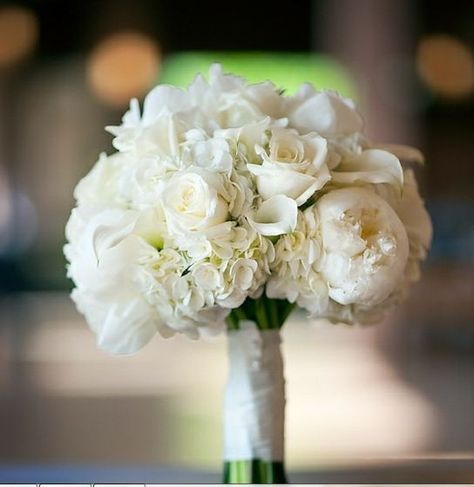 Peony, Hydrangea, and Rose Bouquet Bouquet Bride, Peonies And Hydrangeas, Hydrangeas Wedding, Wedding Photo Gallery, Peonies Bouquet, September Wedding, White Peonies, White Hydrangea, White Bouquet