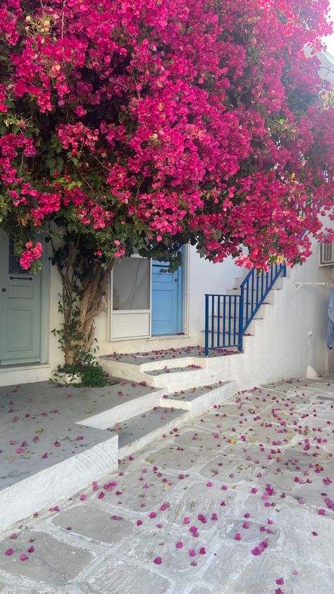 Bougainvillea Aesthetic, Girls Hair Style, Hairstyles Design, Flower Walls, Flowers Photography Wallpaper, Floral Wallpaper Phone, Nothing But Flowers, Cozy Style, Haircut Hairstyle