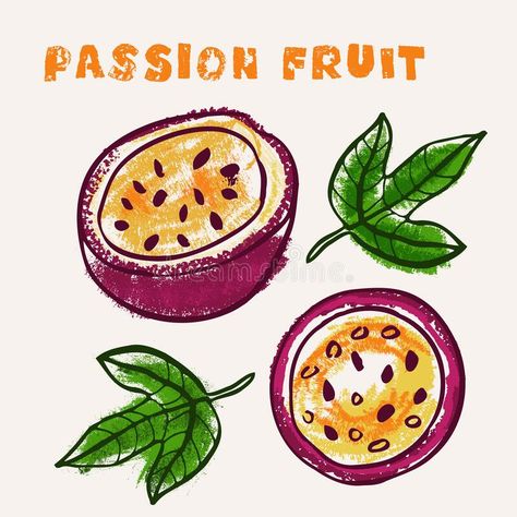 Watercolor Passion Fruit, Passion Fruit Drawing, Passion Fruit Illustration, Exotic Illustration, Fruit Line Art, Doodle Reference, Fruit Doodle, Totoro Art, Fruit Sketch