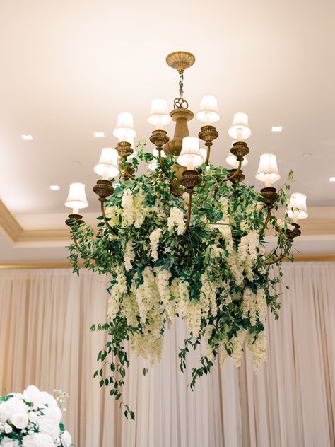 Greenery and white wisteria chandelier flowers Greenery From Chandelier, Wisteria Chandelier Wedding, Chandelier With Greenery Wedding, Greenery On Chandelier, Chandelier With Greenery, Wisteria Chandelier, Wedding Wisteria, Chandelier Greenery, Chandelier Flowers