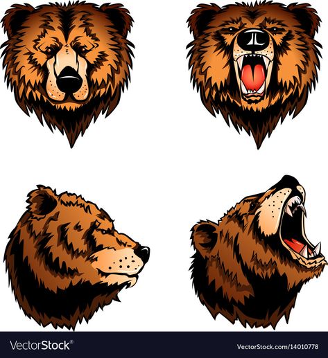 White Background Cartoon, Background Cartoon, Bear Head, Front View, High Res, Png Images, Adobe Illustrator, White Background, Vector Images