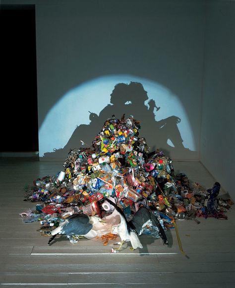 So bizarre!  Piles of trash, but cast a shadow image of something else!  Several more at website (some a bit gruesome!) Trash Art, Have Inspiration, Shadow Art, Hur Man Målar, Wow Art, Recycled Art, British Artist, Art Sculpture, Art Plastique