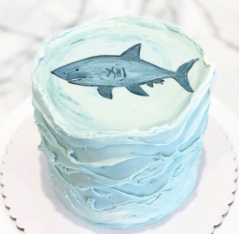 Shark Themed Cakes, Shark Birthday Cakes, Shark Cake, Cake Inspo, Shark Birthday, Party Party, Pretty Cakes, Themed Cakes, Sharks