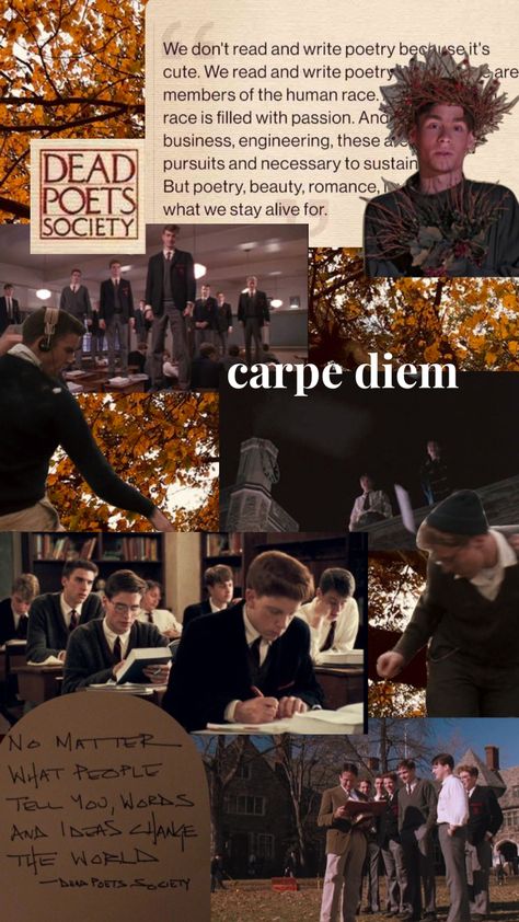 Dps Wallpaper Aesthetic, Solider Poet King Aesthetic, Dps Aesthetic, Dps Wallpaper, 50s Teenagers, Dark Academia Posters, Romcom Movies, Shuffles Aesthetic, Sean Leonard