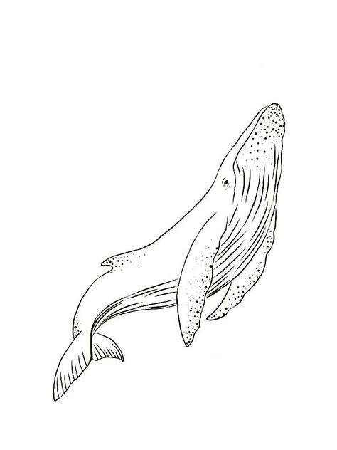 Beautiful Coloring Pages, Whale Drawing, Ocean Drawing, Arte Doodle, Whale Tattoos, Ocean Tattoos, Whale Art, A Whale, Dream Tattoos