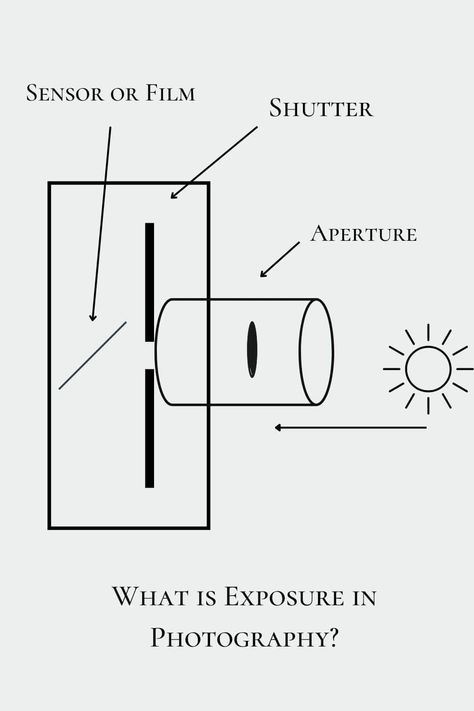 What is Exposure in Photography?? In this post Kelley Hoagland breaks down the fundamentals of what exposure is in photography!  If you are a beginner photographer, read this post to learn more! Beginner Photographer, Beginner Photography, Photography Basics, Photography Tips For Beginners, Photography For Beginners, Learning Photography, Shutter Speed, The Basics, Photography Tips