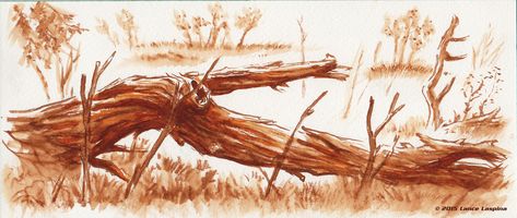 ArtStation - Fallen Tree - still life in ink wash, Lance LaSpina Fallen Tree Drawing, Tree In Water, Water Brush Pen, Jellyfish Drawing, Fallen Tree, Water Brush, Art Journal Therapy, Wood Burning Art, Ink Wash