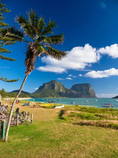 10 magnificent photographs of Lord Howe Island - Australian Geographic Lord Howe Island, Cairns Queensland, Australian Continent, Australia Tourism, Mood Aesthetic, Saltwater Crocodile, Australia Vacation, Fav Place, Coral Garden