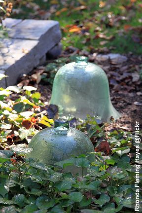 Garden Cloches, Garden Cloche, Colonial Garden, Cold Frames, Tattoo Plant, Prayer Garden, Antique Garden, Science Nerd, Potting Sheds