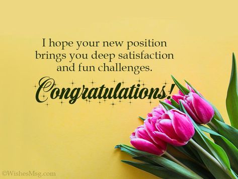 Promotion Wishes, Congratulations On Your Promotion, Promotion Congratulations, Happy Job, Congratulations Wishes, Birthday Verses, Job Quotes, Email Template, Wishes Messages