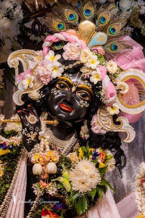 Krishna Images Vrindavan, Radhe Krishna Wallpapers Hd Wallpaper, Iskcon Krishna Wallpapers Hd, Krishna Mayapur, Wallpaper Of Lord Krishna, Krishna Images Hd Wallpaper New, Krishna Ji Wallpaper, Sneha Core, Krishna Wallpapers Hd Wallpaper