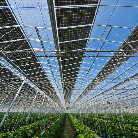 Commercial Modern Electric Power Solar Energy Greenhouse For Agriculture - Buy Solar Energy Greenhouse,Electric Power Greenhouse,Solar Energy System Intelligent Agricultural Greenhouses Product on Alibaba.com Roof Ventilation, Sun Power, Solar Energy System, Pre Production, Ventilation System, Energy System, Climate Control, Electric Power, Greenhouses