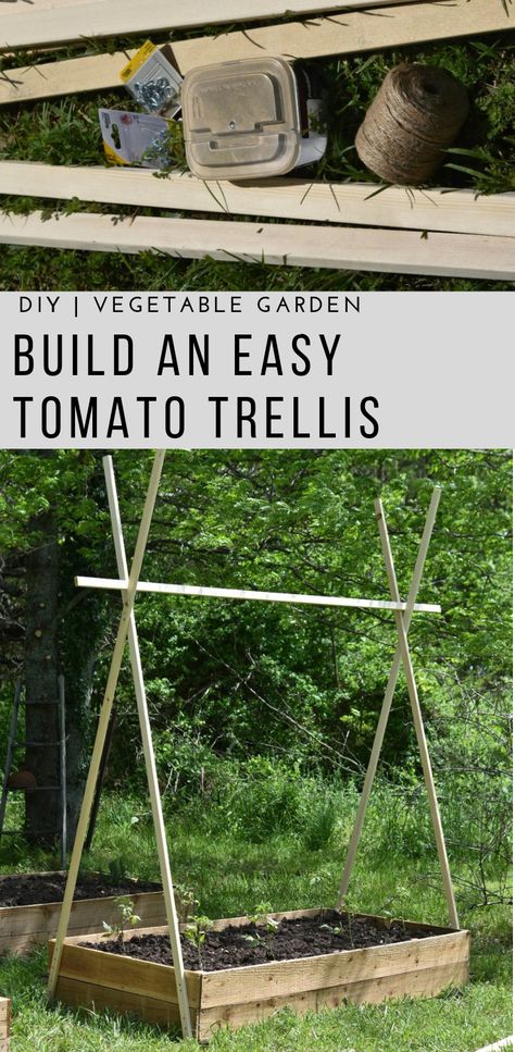 Diy Tomato Trellis, Raised Bed Gardening, Farm Diy, Tomato Trellis, Diy Garden Patio, Raised Vegetable Gardens, Cheap Backyard, Diy Trellis, Have Inspiration