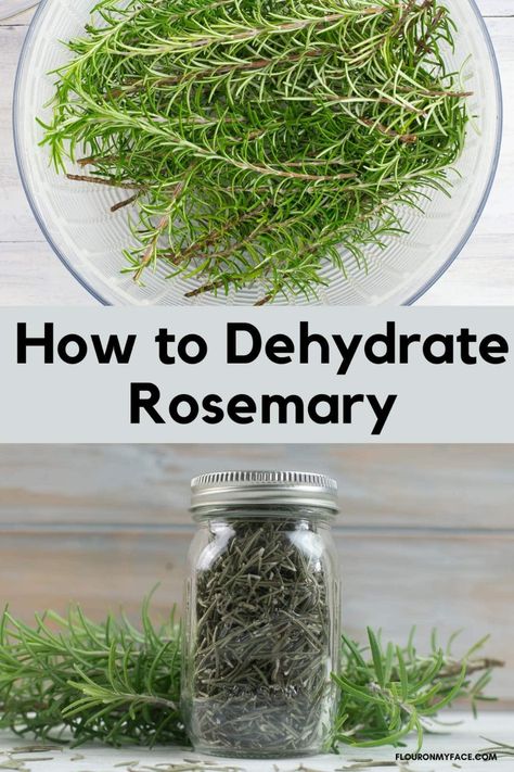 How to dehydrate fresh rosemary. Dry your own herbs and save hundreds of dollars a year. Dehydrate Rosemary, Preserve Fresh Herbs, Drying Fresh Herbs, Dehydrating Food Storage, Dehydrating Recipes, Herbs At Home, Food Dehydration, Mat Inspiration, Growing Rosemary