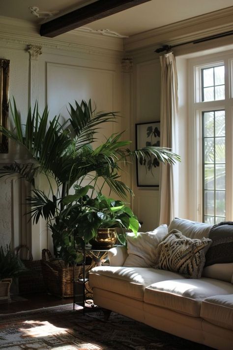 Simple Indoor Plants Decor Living Room #Minimalist #HomeStyle #Home #Decor #Embracing #Simplicity #HomeInspiration #in #Style In Home Plants, Indoor Plants Decor Living Room, Indoor Plants Decor, Clean Living Rooms, Plants Ideas, Living Room Plants, Plants Decor, House Plants Decor, Room With Plants