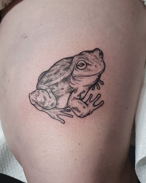 AMOS on Instagram: “Cute little froggy buddy for Myrthe - swipe to see the finished piece 🐸🐸🐸 #frog #frogtattoo #biologytattoo #dansemacabre #vanitastattoo…” Vintage Frog Tattoo, Goth Frog Tattoo, Bull Frog Tattoo, Colorful Frog Tattoo, Realistic Frog Tattoo, Bullfrog Tattoo, Frog Tattoo Design, Over The Garden Wall Tattoo, Biology Tattoo