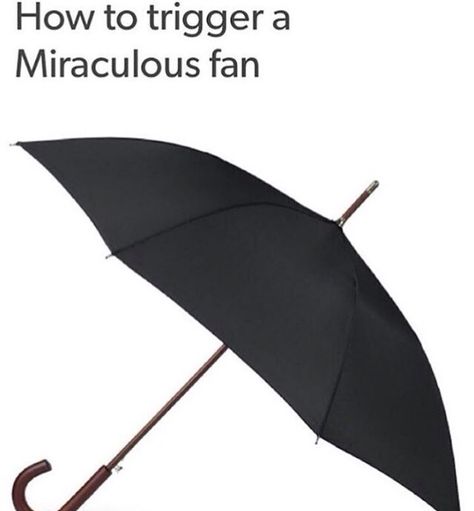 you show me a BLACK umbrella... I might burst into tears and then run away muttering, "The umbrella.... Marinette.... Adrien!" Yes. give a black umbrella to a Miraculer... and it'll trigger them Mens Umbrella, Ladybug And Cat Noir, Black Umbrella, Hetalia Fanart, Rain Protection, Canopy Design, Umbria, Black Tote, Cat Noir