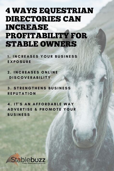 Stable Management, Horse Business, Horseback Riding Lessons, Mini Donkey, Horse Stable, Horse Rescue, Horse Boarding, Riding Lessons, Horse Stables