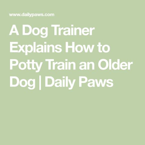 Dog Training Potty Go Outside, How To Potty Train An Older Dog, How To Potty Train, Dog Toilet, Dog Potty Training, Potty Train, Dog Pee, Pet Tips, Pet Stains