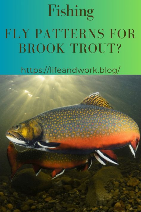 Fishing -  Fly Patterns For Brook Trout Fishing Hook Knots, Crappie Fishing Tips, Aquatic Insects, Caddis Flies, Trout Fishing Tips, Fishing Ideas, Trout Flies, Fly Fishing Tips, Brook Trout