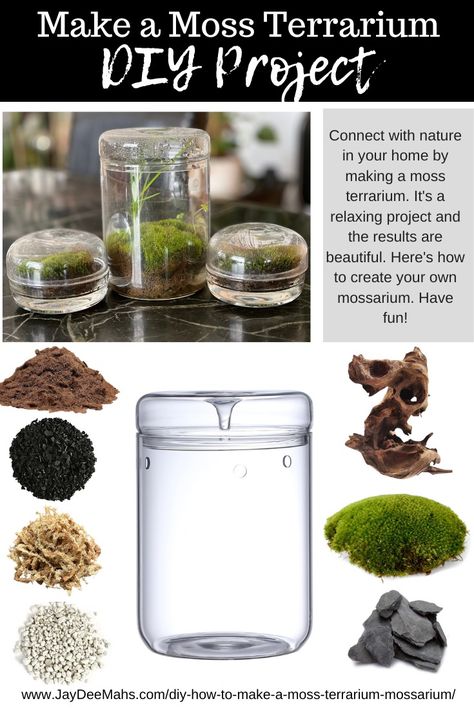 DIY: How to Make a Moss Terrarium (Mossarium) - JayDeeMahs.com Mini Terrarium, Connect With Nature, Moss Terrarium, Terrarium Diy, Craft Club, Yummy Snacks, Plant Care, Have Fun, Terrarium