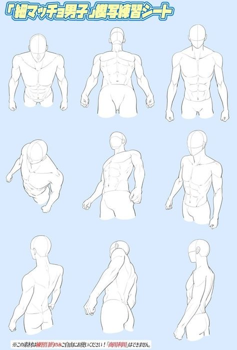 General Anatomy, Perspective Drawing Lessons, Body Drawing Tutorial, Human Anatomy Art, Anatomy Sketches, Body Reference Drawing, 캐릭터 드로잉, Body Anatomy, Anatomy Drawing