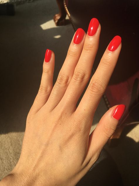 Essie Rock The Runway, Runway Nails, 2021 Aesthetic, Nails Trend, Nail Ring, Nails 2020, Art Nails, Art Trends, All Things Beauty