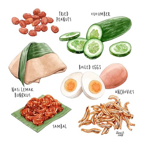 Pandan Leaf Illustration, Sambal Nasi Lemak, Nasi Lemak Illustration, Nasi Lemak Drawing, Malay Illustration, Nasi Lemak Bungkus, Pandan Leaf, Kampar, Malay Food