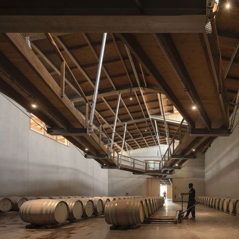 Wine Factory Architecture, Herzog Meuron, Wine Factory, Winery Design, Wineries Architecture, Conceptual Model Architecture, Factory Interior, Winery Tasting Room, Factory Architecture