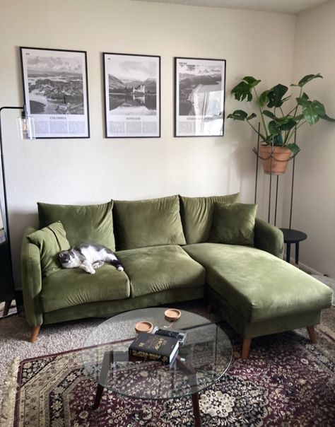 Simple Living Room Green Couch, Midcentury Modern Green Couch, Small Green Couch Living Room, Green Living Room Asthetics, Hunter Green Apartment Decor, Green Couch Grey Floor, Green Suede Couch, Living Room Inspo Green Couch, Green Couch Small Living Room