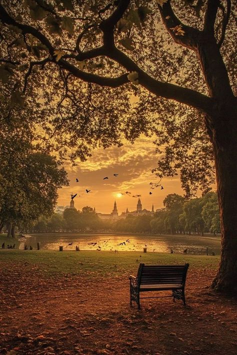 "🌿🇬🇧 Unwind in Hyde Park, London’s majestic green space! Enjoy serene walks, picturesque lakes, and historic landmarks in one of the city’s largest parks. 🌳🚲 #HydePark #London #ParkLife" Hyde Park London, Green Park, A Level Art, Hyde Park, Green Space, London England, The City, England, Lake