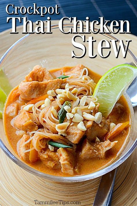 Crock Pot Thai Chicken Stew Recipe! Let the slow cooker do all the work and you get this great soup recipe with tons of flavor! Makes great leftovers! Crock Pot Thai, Barbecue Chicken Recipes, Taco Dinner Recipes, Recipes Stove Top, Crock Pot Chicken Recipes, Creamy Tomato Soup Recipe, Classic Chicken Noodle Soup, Slow Cooker Thai Chicken, Soup Recipes Vegetarian