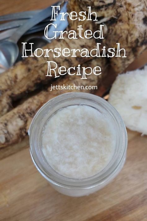 Homemade Prepared Horseradish Homemade Horseradish, Horseradish Recipes, Fresh Horseradish, Prepared Horseradish, Passover Recipes, White Wine Vinegar, Spice Recipes, Three Ingredient, Vegan Paleo