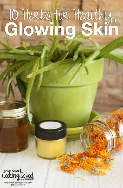 Herbs For Healthy Skin, Natural Skin Remedies, Herbal Oils, Skin Care Routine For 20s, Cold Sores Remedies, Crochet Bows, Homemade Beauty, Healthy Glowing Skin, Acne Remedies