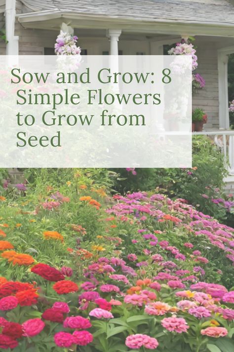 Embark on a journey of growth and beauty with flower seed starting! Explore our collection of easy-to-grow flowers and kickstart your gardening adventure right in your backyard. Starting Flowers From Seeds, Easy To Grow Flowers, Grow From Seed, Flowers To Grow, Grow Flowers, Easy Backyard, Growing Seeds, Simple Flowers, Seed Starting