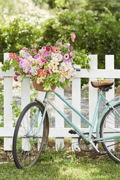 Retro Bike Basket:  An antique bike with a flower-filled bike basket is the perfect welcome piece for any event or even a beautiful addition to the garden," Kiana says. Place a water-filled container inside the basket and add flowers. "I used a variety of spring flowers like peonies, ranunculus, and tulips with dogwood, garden roses, poppies, and hydrangeas." Bicycle With Flowers, Bike Planter, Image Zen, Bike With Basket, Old Bicycle, Retro Bike, Bike Basket, First Day Of Spring, Floral Studio