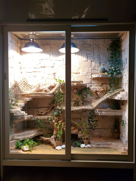 My custom bearded dragon enclosure, using an IKEA office bookshelf. Funny Animals Pics, Beard Dragon, Diy Bearded Dragon Enclosure, Lizard Cage, Bearded Dragon Vivarium, Bearded Dragon Terrarium Ideas, Animal Videos Funny, Dragon Terrarium, Lizard Terrarium