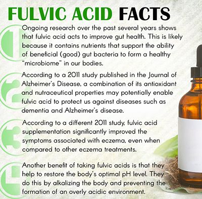 Fulvic Acid from Humic substance Good Gut Bacteria, Benefits Of Organic Food, Multivitamin Supplements, Healthy Microbiome, Gut Brain, Fulvic Acid, Improve Gut Health, Super Foods, Alternative Health